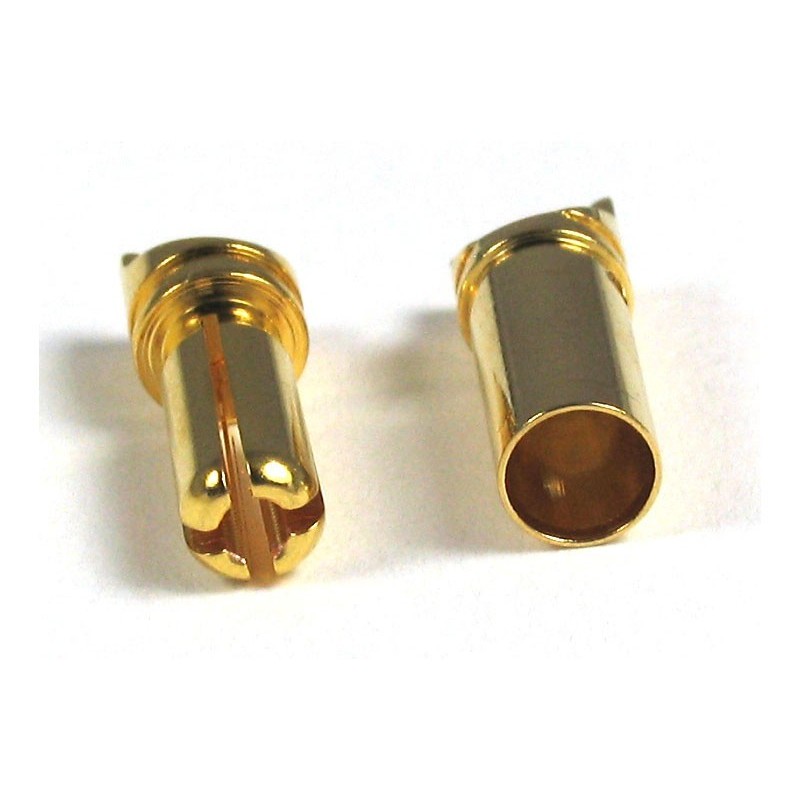 5.5mm bullet M+F