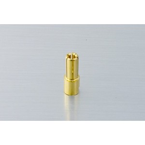 Conn. 5.5mm maschio