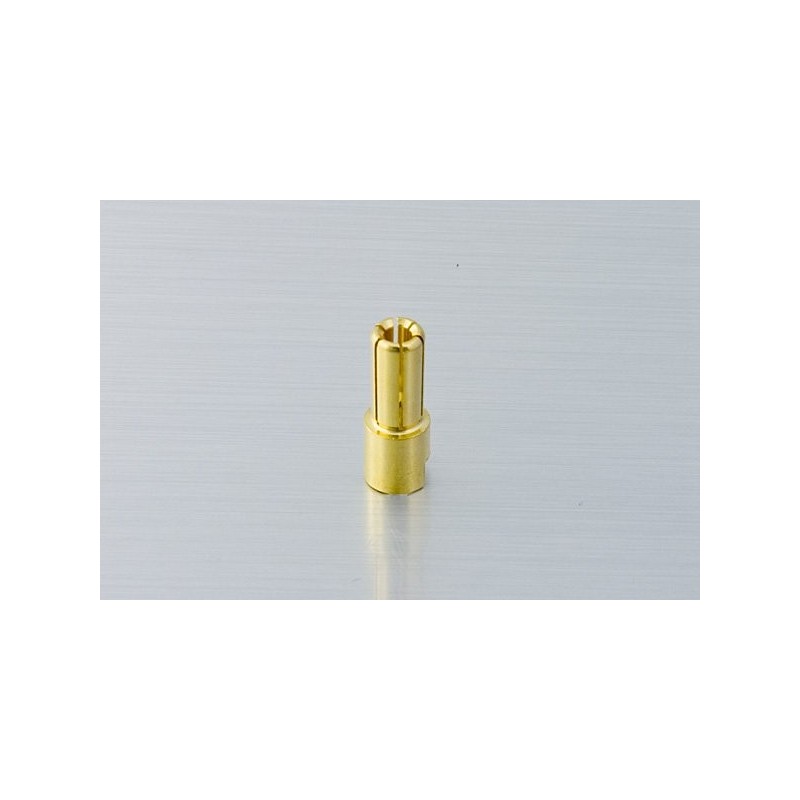 Conn. 5.5mm maschio